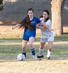 Var girls soccer 013(3)