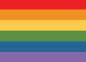 pride flag